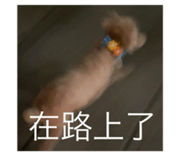 610083621