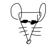 610104748