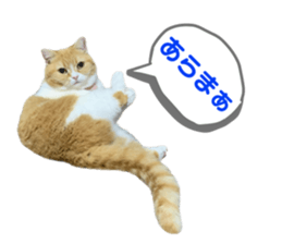 610123670
