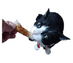 610173031