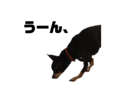 610211049