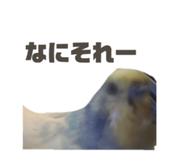 610211050