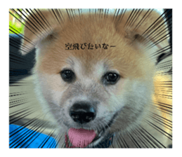 610212330