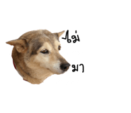 610233159
