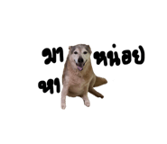 610233160