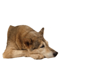 610233162