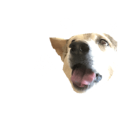 610233164