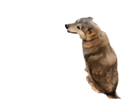 610233165