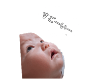 610241486