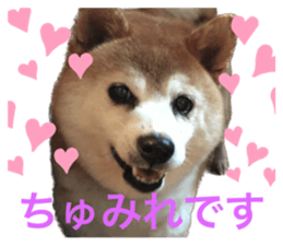 610256977