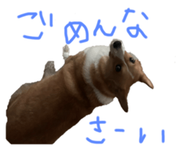 610268785
