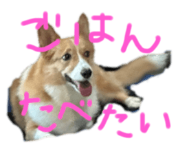 610268788