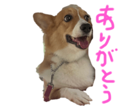 610268789