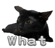 610285120