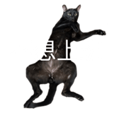 610285122
