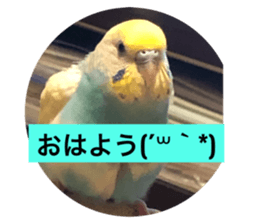 610302623