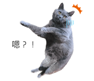 610354725