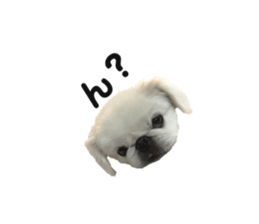610368210