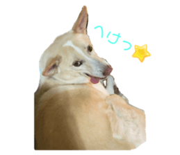 610406452