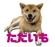 610410485