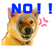 610410487