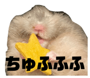 610410496