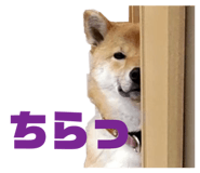 610410498