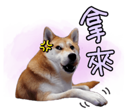 610456779