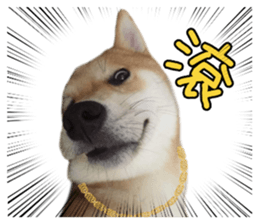 610456796