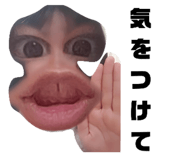 610481300