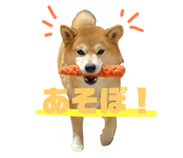 610507199