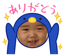 610525445
