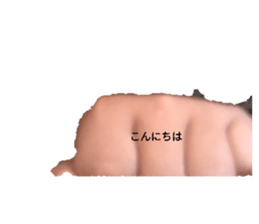 610529296