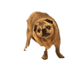 610539237