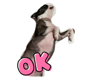 610582157