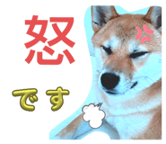 610652833