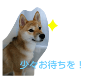 610652834