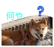 610652836
