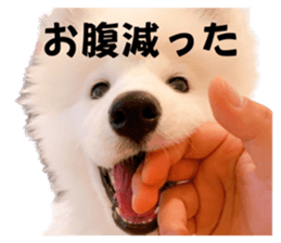 610652978