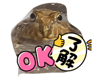 610682089