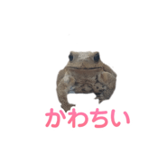 610682103