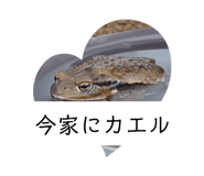 610682104
