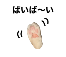 610688176