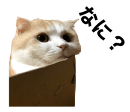 610688183