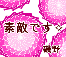 61070517