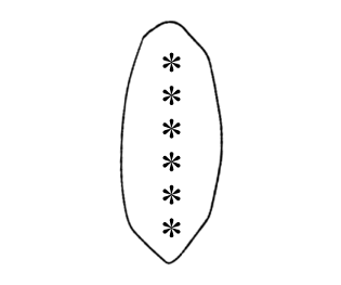 610713502