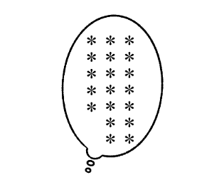 610713509