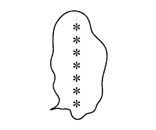 610713512