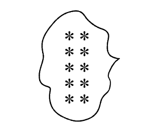 610713513