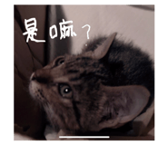 610718819